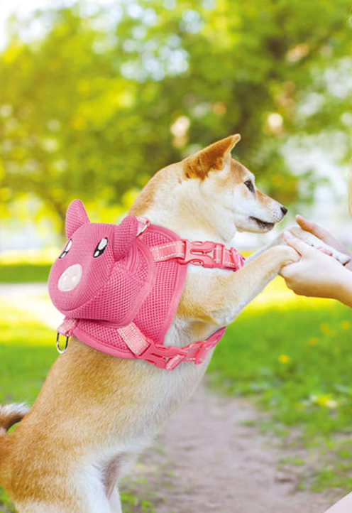 MOCHILA PETFUN PORQUINHO