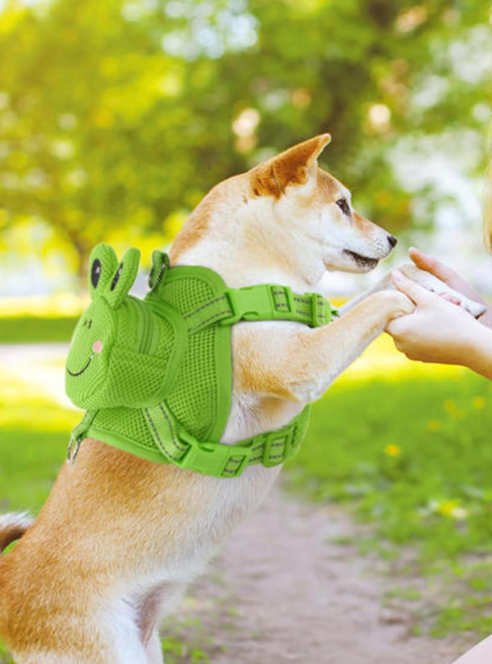 MOCHILA PETFUN SAPINHO