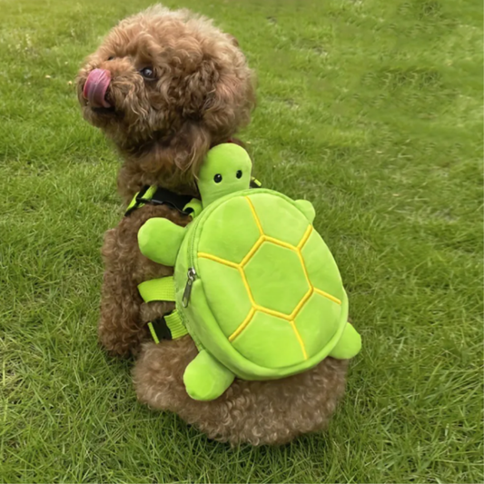 MOCHILA TARTARUGA