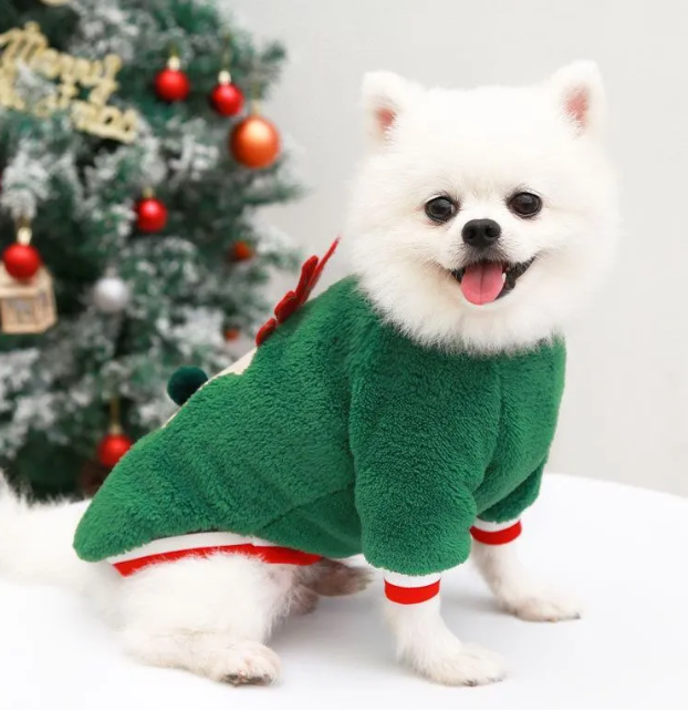 SWEAT-PET NATALÍCIA