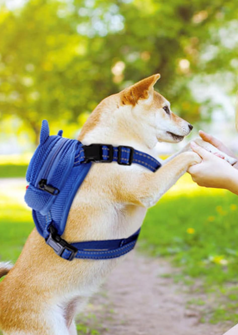 MOCHILA PETFUN TUBARÃO