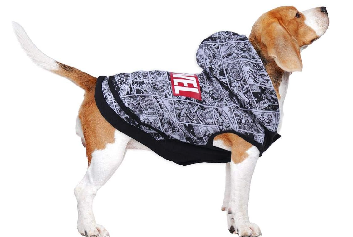SWEAT DOG MARVEL