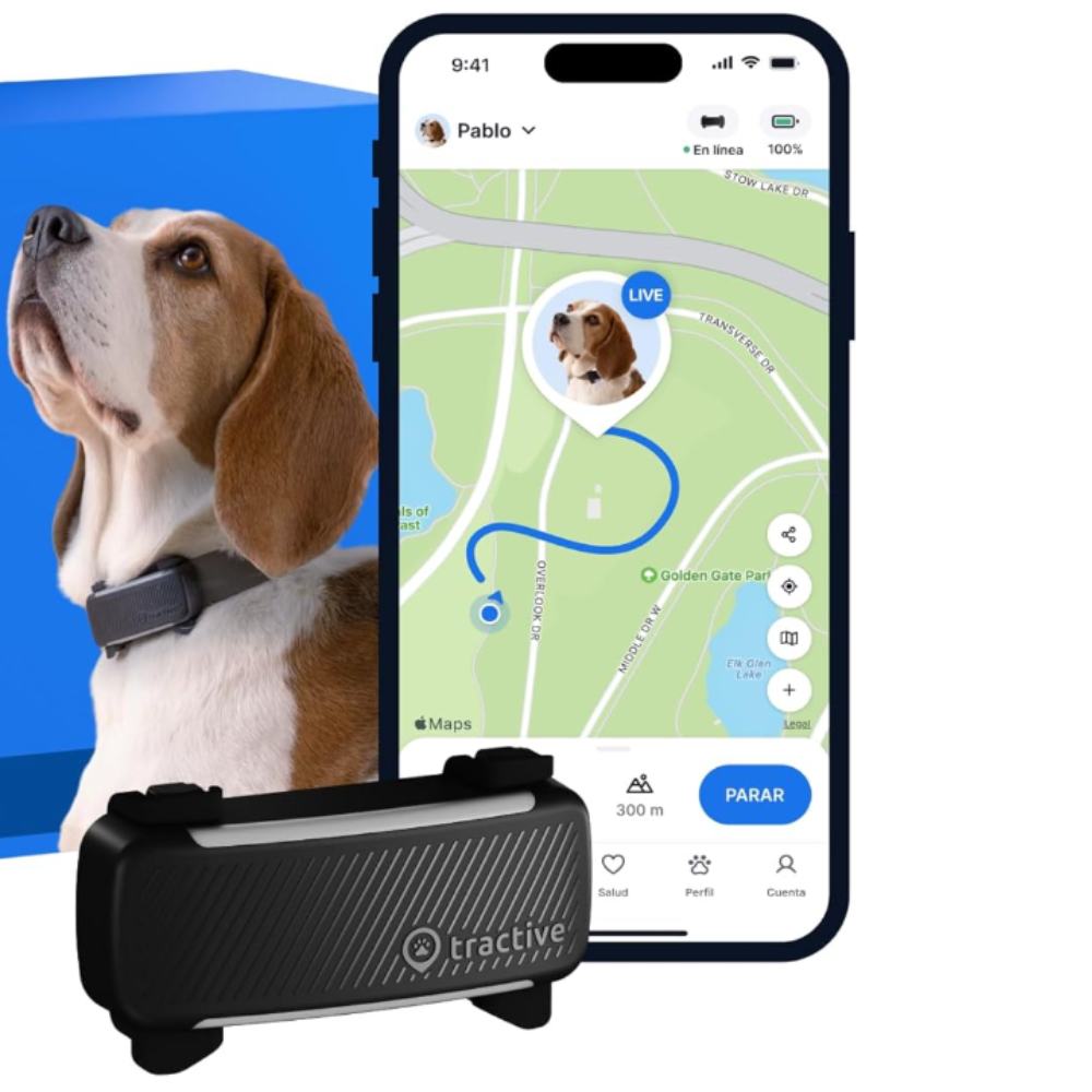 GPS - LOCALIZADOR EM TEMPO REAL