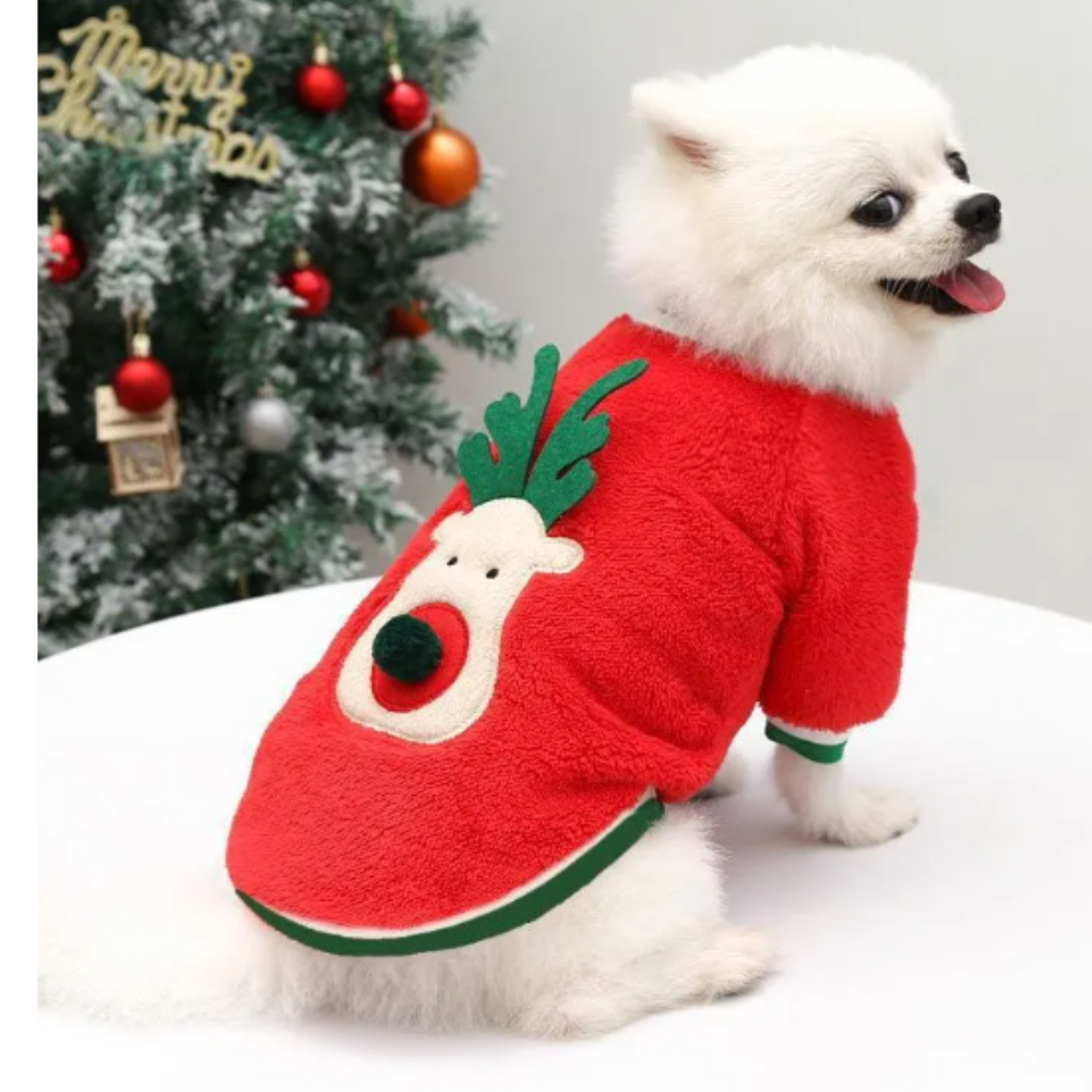 SWEAT-PET NATALÍCIA